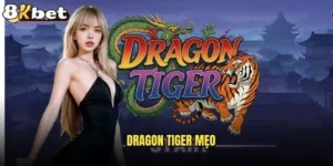 Dragon Tiger mẹo