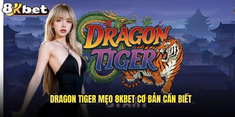 Dragon Tiger mẹo 8kbet nào giúp tăng tỷ lệ thắng cao nhất? 1 Dragon Tiger mẹo 8kbet cơ bản cần biết