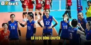 Cá cược bóng chuyền