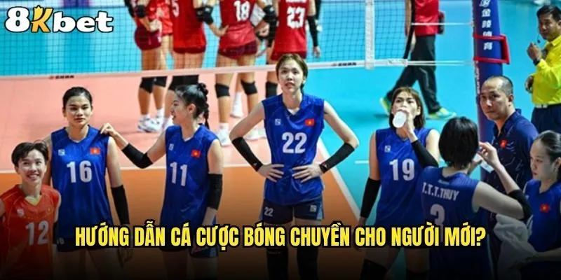 Cá cược bóng chuyền có phải cơ hội vàng tại 8kbet? 1 Hướng dẫn cá cược bóng chuyền cho người mới?